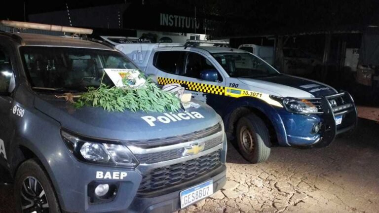 PMMS apreende autor de tráfico de drogas durante Operação