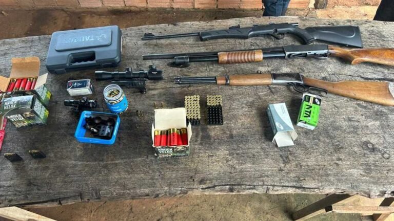 Operação conjunta entre polícia civil e PM cumpre mandado na casa e fazenda de autor de violência doméstica e apreende armas e munições