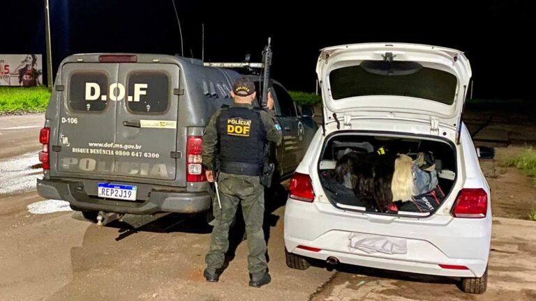 Avaliado em aproximadamente R$ 340 mil, DOF apreende quase 170 quilos de mechas de cabelos humano