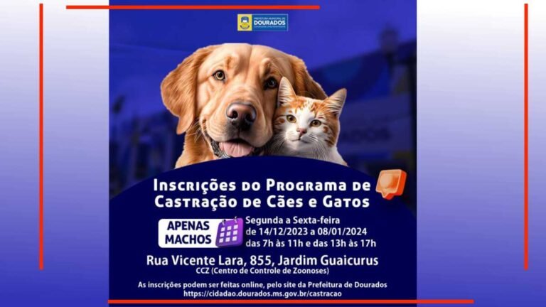 Prefeitura reabre inscrições para Programa Municipal de Castração