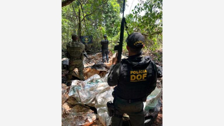 DOF apreende quase uma tonelada de agrotóxicos em meio a mata em Dourados