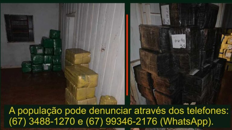 Ação conjunta entre as Polícias Civil e PM apreende quase 3,5 toneladas de maconha avaliada em 7 milhões