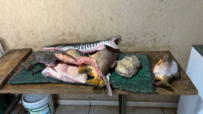 Polícia Civil, em ação conjunta com PMA, deflagram operação de combate à pesca ilegal em Aquidauana