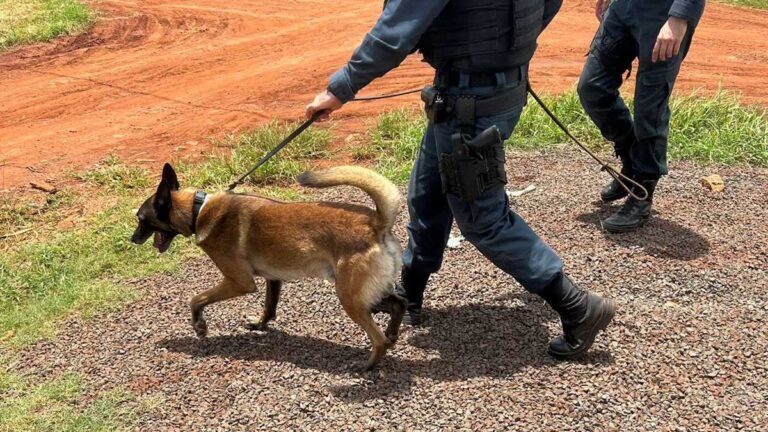 Canaã I – Polícia Civil finaliza operação “Ferrugem” e cumpre mandado de busca e de prisão preventiva