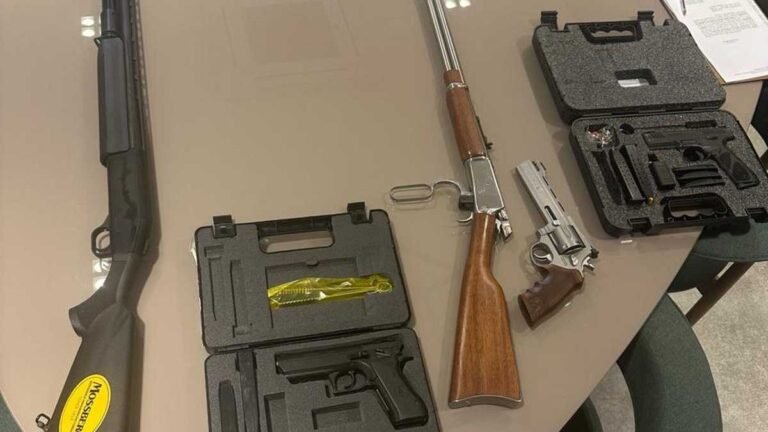 Polícia Civil apreende seis armas de fogo em Dourados durante investigação de violência doméstica e familiar