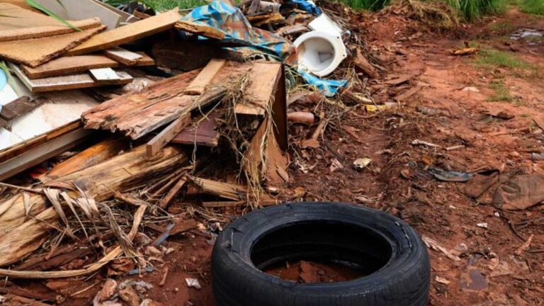 População é protagonista no combate à dengue – Cuidados básicos evitam proliferação do mosquito