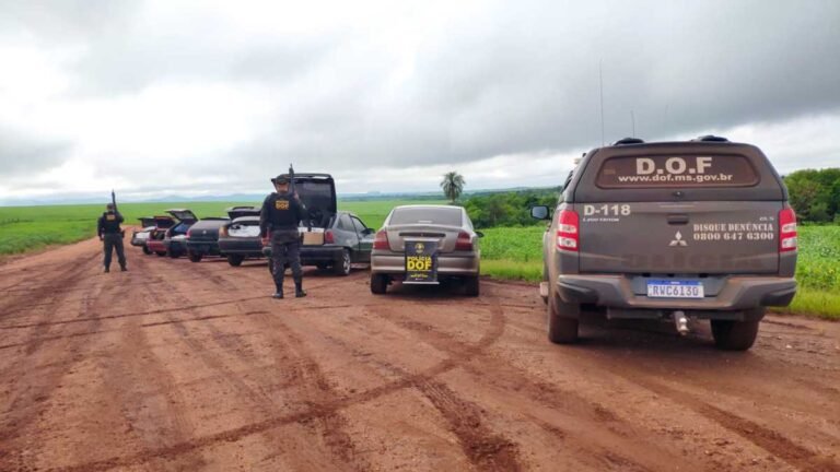 Vídeo – Seis veículos com mais de 200 mil reais em mercadorias ilegais são apreendidos pelo DOF