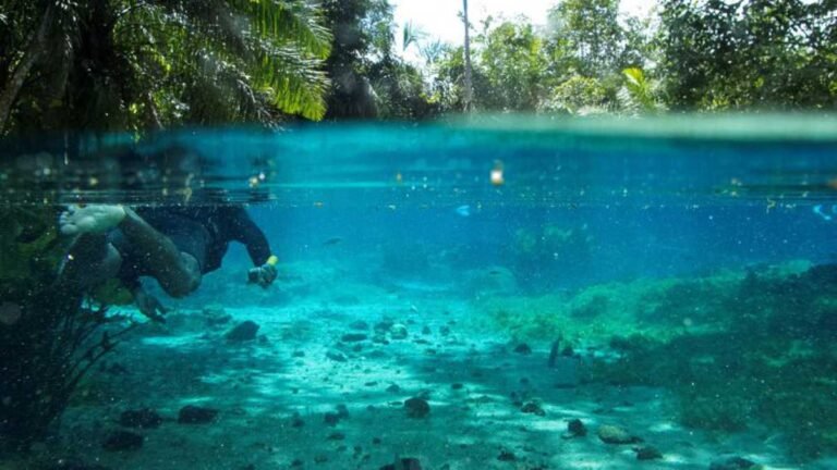 Com investimentos do Governo de MS, Bonito registra recorde de turistas com mais de 313 mil visitantes