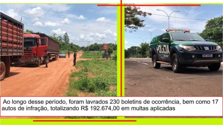 Operação Boas Festas da PMA capturou 89 animais e abordou mais de 420 pessoas em MS