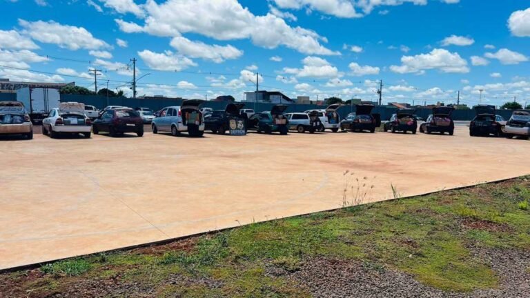 Vídeo – Polícia Civil apreende 14 veículos e diversas mercadorias contrabandeadas