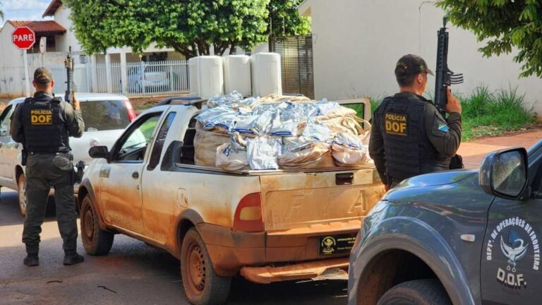 Mais de um milhão e meio de reais em defensivos agrícolas são apreendidos pelo DOF em Dourados