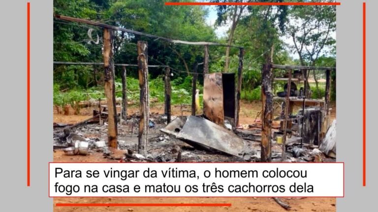 Por não aceitar fim de relacionamento, homem mata três cachorros e coloca fogo na casa da ex