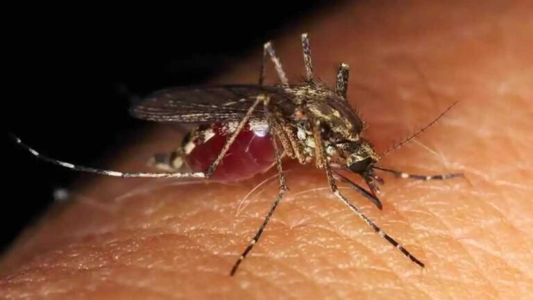 Epidemia de dengue faz Natal decretar emergência em saúde