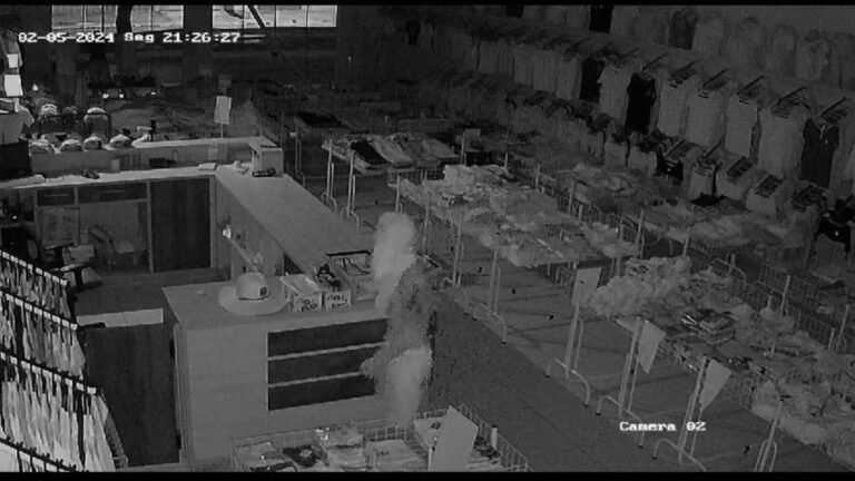 Vídeo – Polícia Civil prende autor de furto qualificado a comércio de roupas