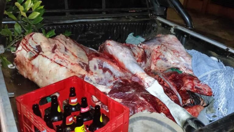 Duas pessoas são presas pelo crime de abigeato em Terenos