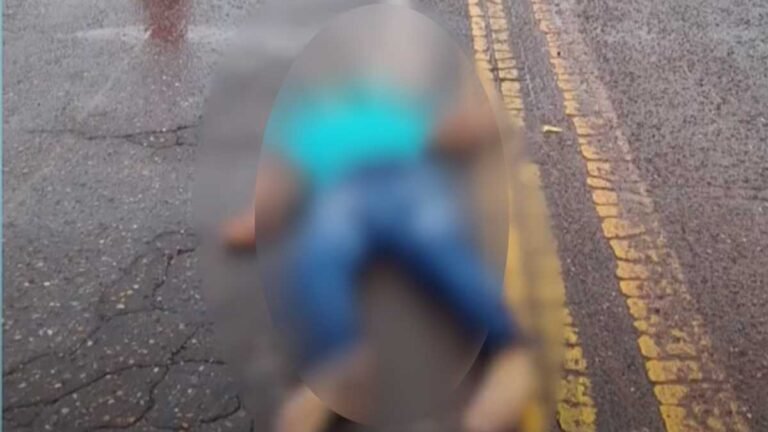 Corpo abandonado – Polícia Civil elucidou crime brutal ocorrido as margens da rodovia BR-262