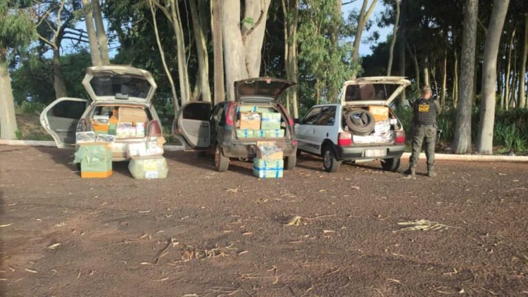 DOF apreende três veículos carregados com mais de um 1 milhão em materiais de contrabandeado