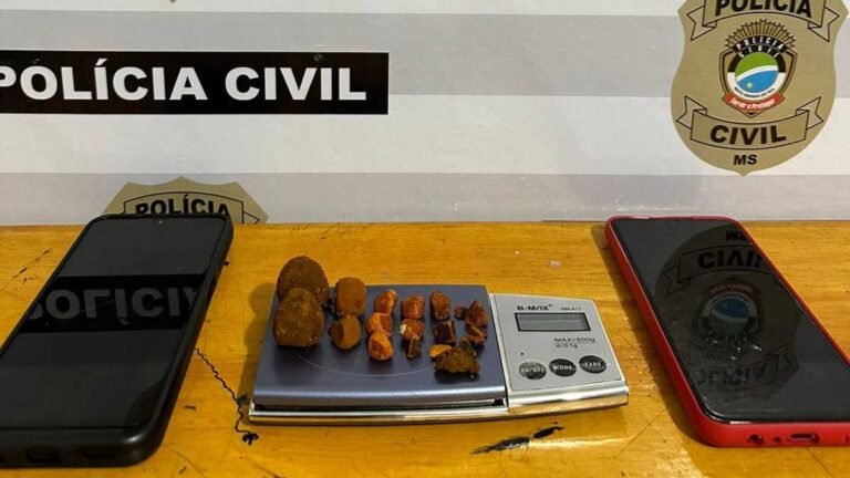 Polícia Civil prende dois funcionários de frigoríficoem por furto de cálculos biliares