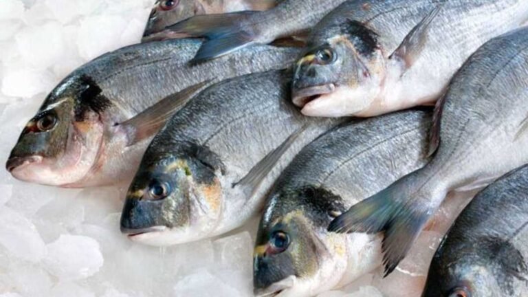 Procon divulga segunda pesquisa sobre produtos consumidos na Semana Santa