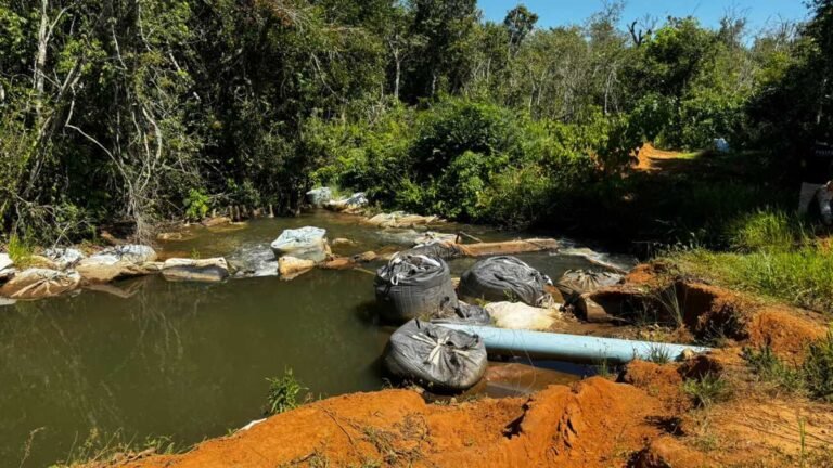 A Polícia Civil investiga a ocorrência de crimes ambientais em Santa Rita do Pardo