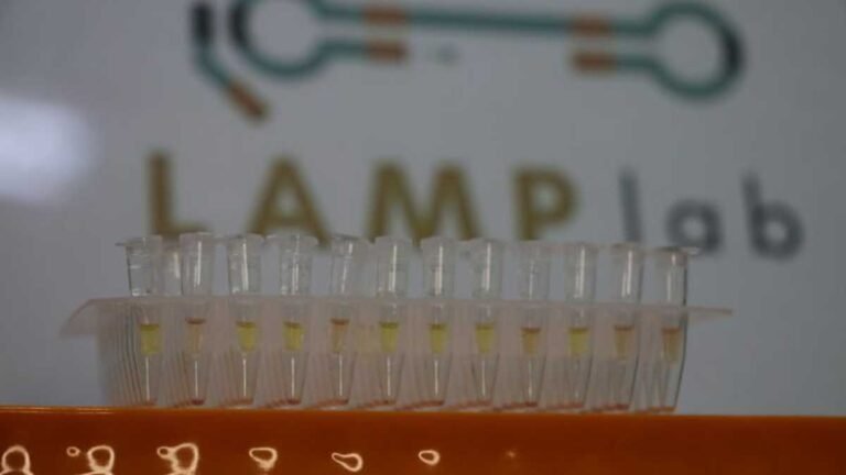 Startup recebe apoio da Fundect e inova com diagnóstico rápido de leishmaniose