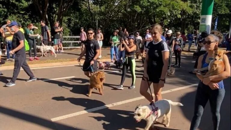 Abril Laranja – Ações de conscientização contra maus-tratos a animais chegam a Bodoquena e Corumbá