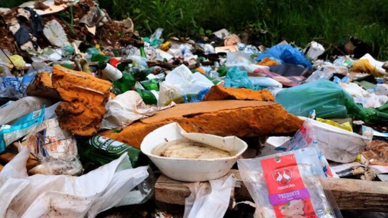 Boletim Epidemiológico: MS registra 7.802 casos confirmados de dengue