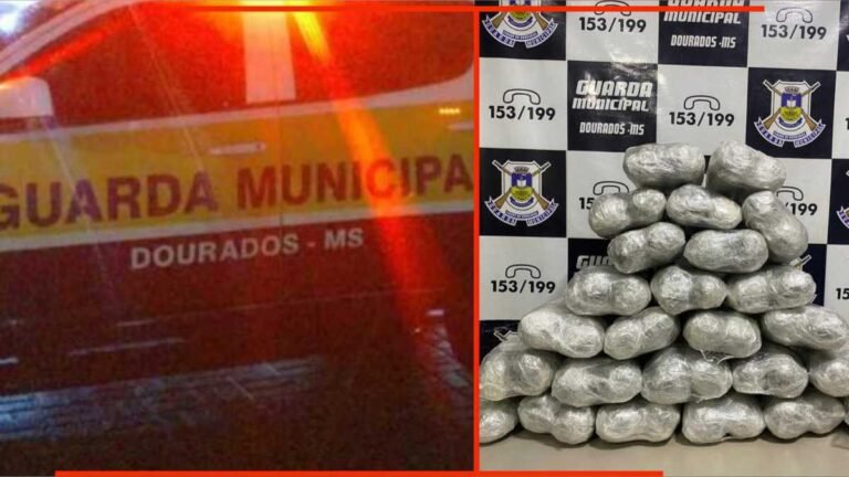 Em ronda no terminal rodoviário, GMD localiza 25 pacotes de maconha