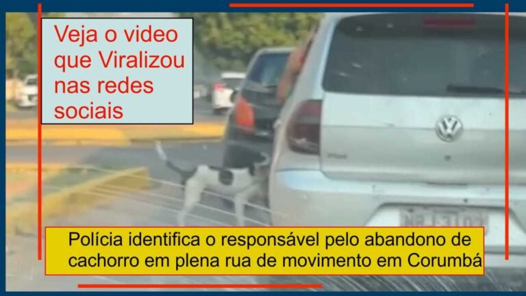 Responsável por abanar cachorro em rua é identificado