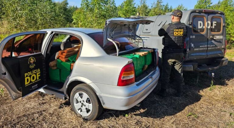 DOF apreende veículo carregado com mais de um milhão de reais em droga
