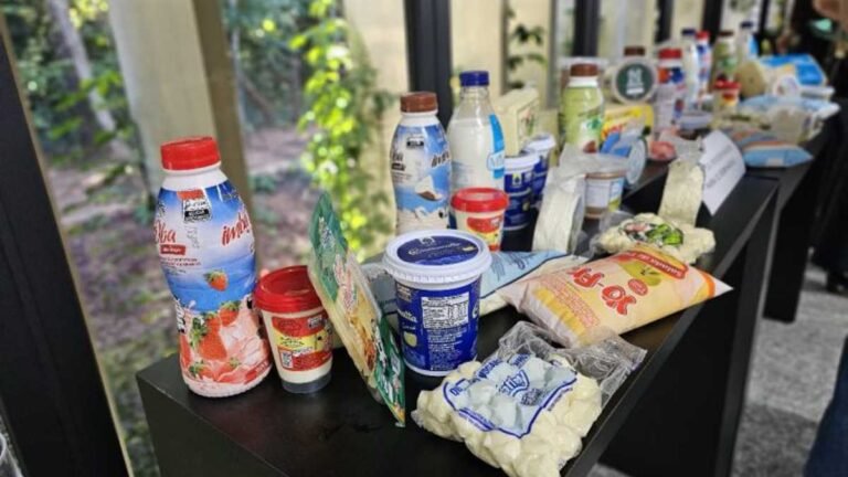 Governo do MS elabora plano de fomento à cadeia produtiva da pecuária leiteira