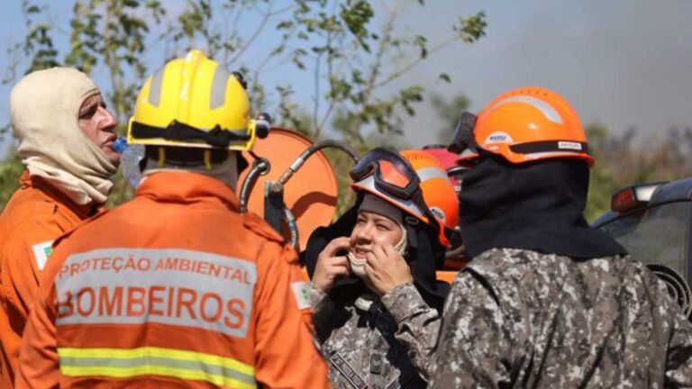 Governo de MS e Força Nacional trabalham em conjunto para combater focos no Pantanal