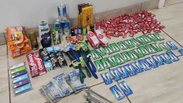 Polícia Civil apreende adolescentes autores de furto qualificado a estabelecimento comercial e recupera objetos