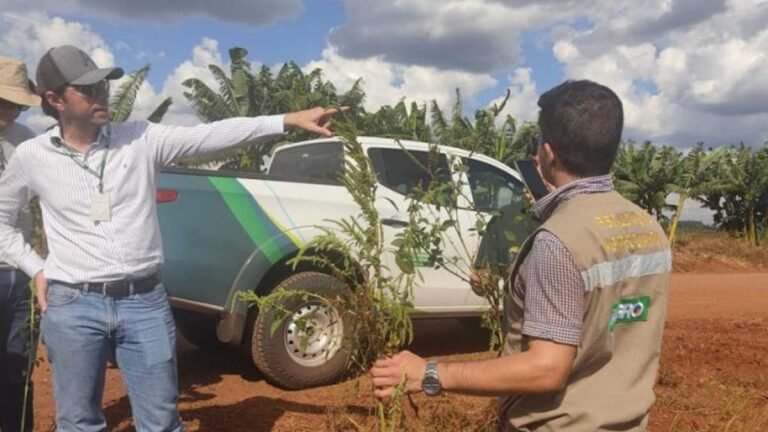 Governo de MS publica abertura de concurso da Iagro com 29 vagas para médico veterinário