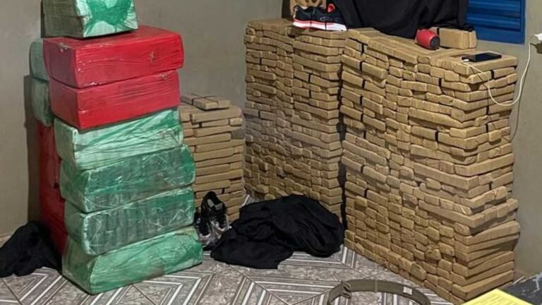 Polícia Civil realiza a maior apreensão de drogas da história em Maracaju