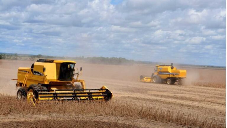 Valor Bruto da Produção agropecuária em Mato Grosso do Sul soma quase R$ 60 bilhões no ano