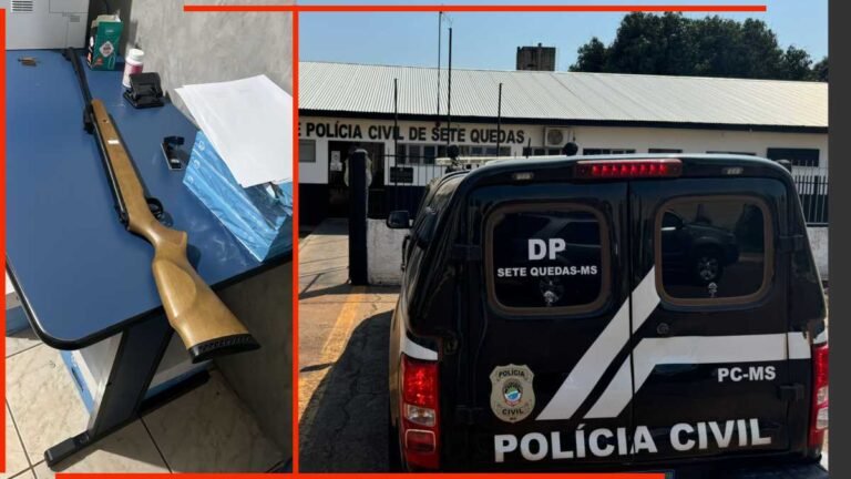 Homem atira e mata gato por o animal ter entrado na horta dele