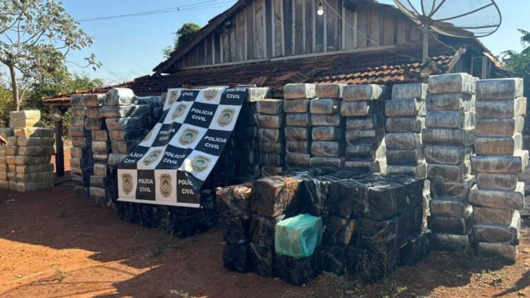 Itaporã – Polícia Civil realiza a maior apreensão de maconha da história de Itaporã e prende responsável pelo tráfico