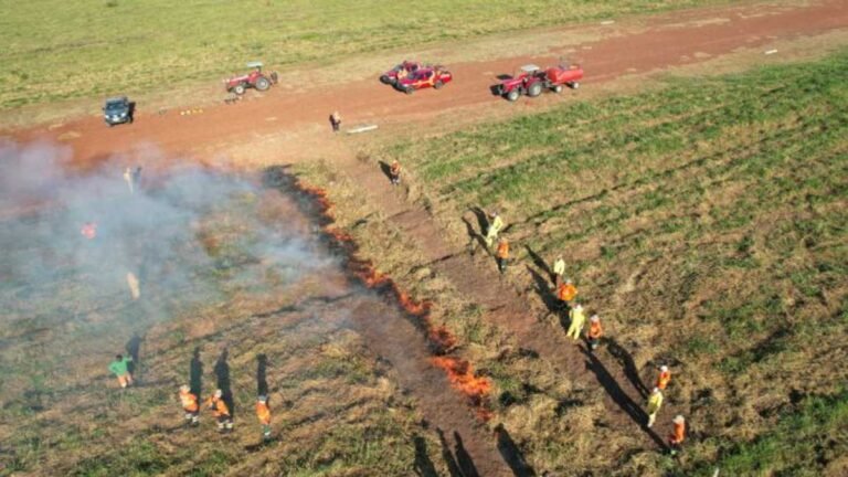 MS se destaca como pioneiro na implementação do Manejo Integrado do Fogo como prevenção a incêndios