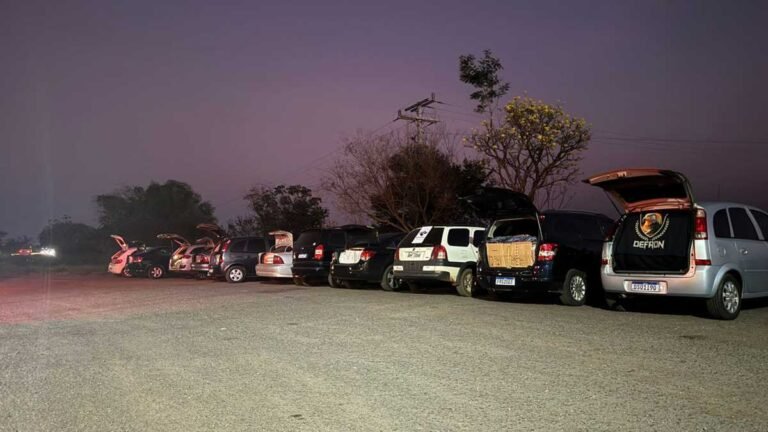 Durante operação, PCMS e Receita Federal apreendem R$ 1,5mi em em mercadorias contrabandeadas