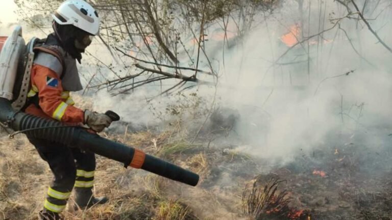 Amor e determinação – Mulheres têm papel de destaque no combate aos incêndios no Pantanal