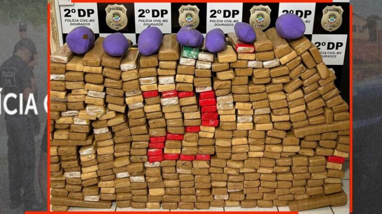 João Paulo II – Polícia Civil prende dois homens por tráfico de drogas e apreende 315 kg de maconha em Dourados