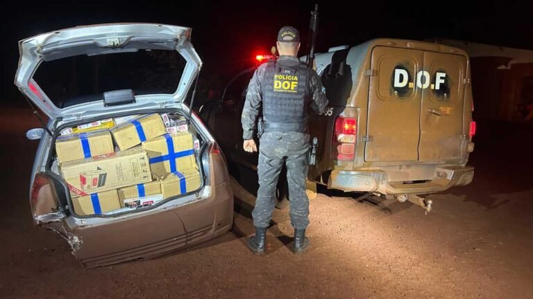 Veículo carregado com produtos ilegais é apreendido pelo DOF na região de Rio Brilhante