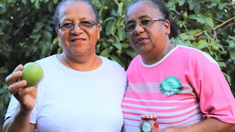 Itaporã – Pomar de goiabas com 2,5 hectares é a fonte de renda e felicidade de duas famílias