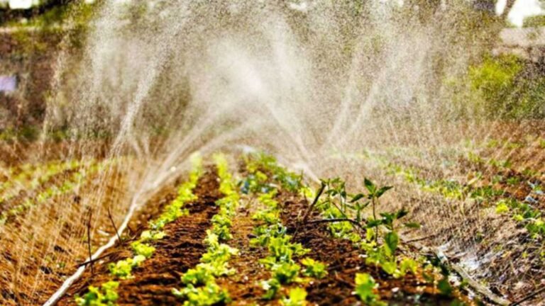 Via Fundect e Semadesc, Governo investe mais de R$ 5 milhões em Programa de Residência Agrária