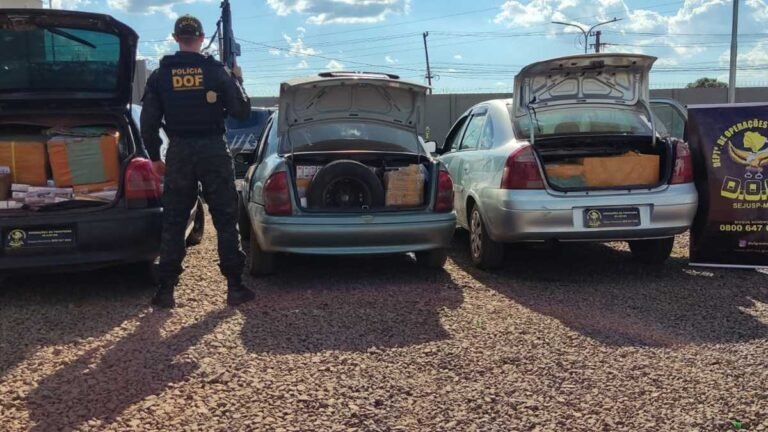Veículos carregados com produtos ilegais são apreendidos pelo DOF em Dourados