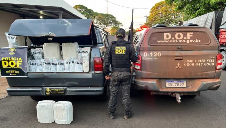 Defensivo agrícola contrabandeado avaliado em R$ 1,4 milhão é apreendida pelo DOF 