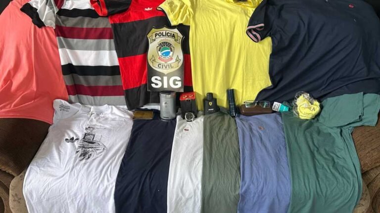 Polícia Civil prende em flagrante autor de furto em residência em Nova Andradina