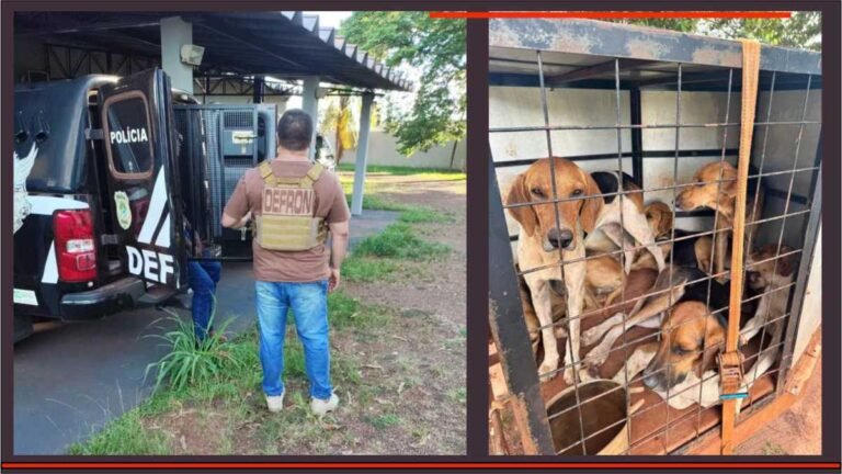 Polícia Civil prende homem em flagrante por maus-tratos a animais e caça ilegal 