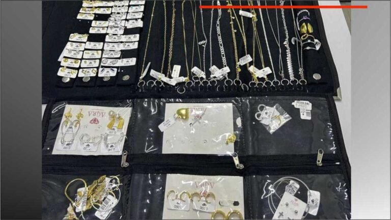 Policiais civis prendem homem que denunciou falsamente roubo de semijoias avaliadas em R$ 10 mil